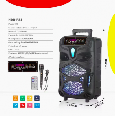 КОЛОНКА NDR-P55